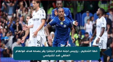 خطأ التحكيم.. رئيس لجنة حكام إنجلترا يقر بصحة هدف فولهام الملغى ضد تشيلسي
